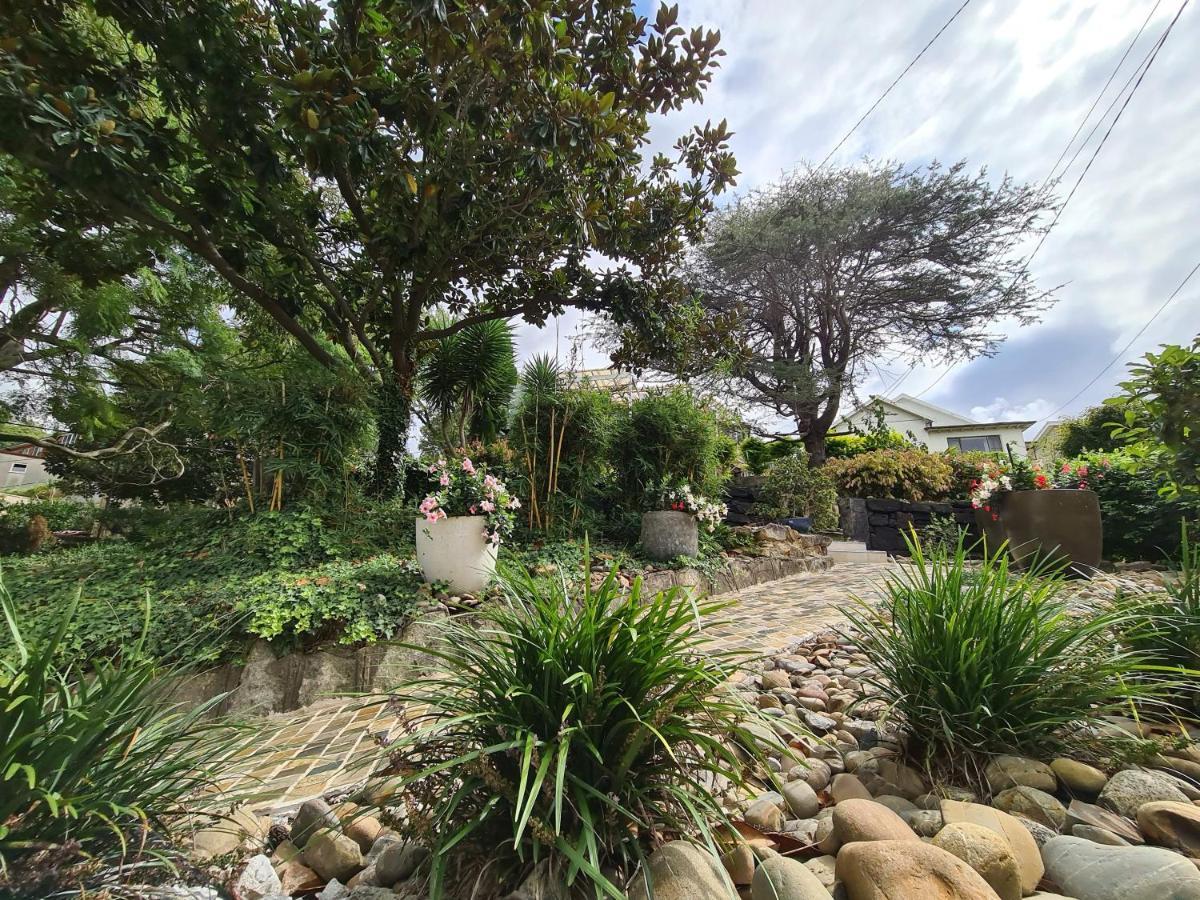 Bamboo House, Close To The City & Airport & Train Station And Brighton Le Sands Beach Sydney Exterior foto